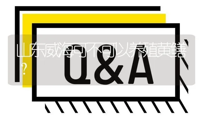 山东威海可不可以养殖黄鳝? | 养殖问题解答