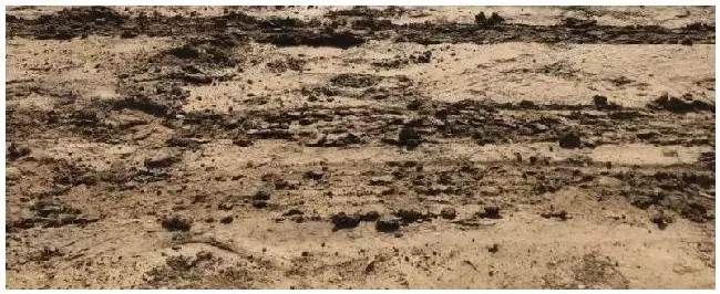 沙质土和粘质土和壤土有什么区别沙质土和粘质土和壤土分别适宜生长什么植物 | 农业常识