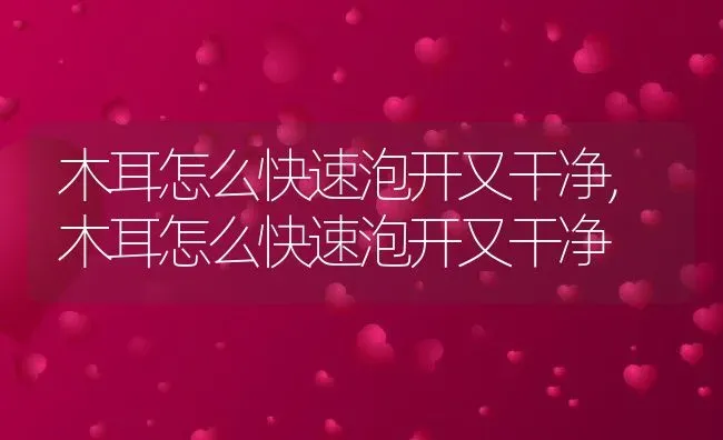 木耳怎么快速泡开又干净,木耳怎么快速泡开又干净 | 养殖常见问题