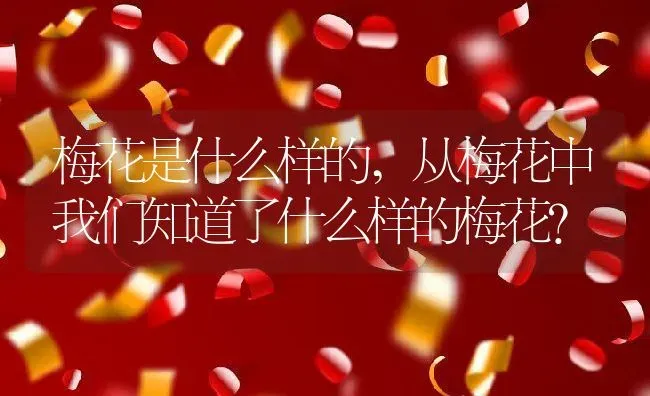 梅花是什么样的,从梅花中我们知道了什么样的梅花？ | 养殖常见问题