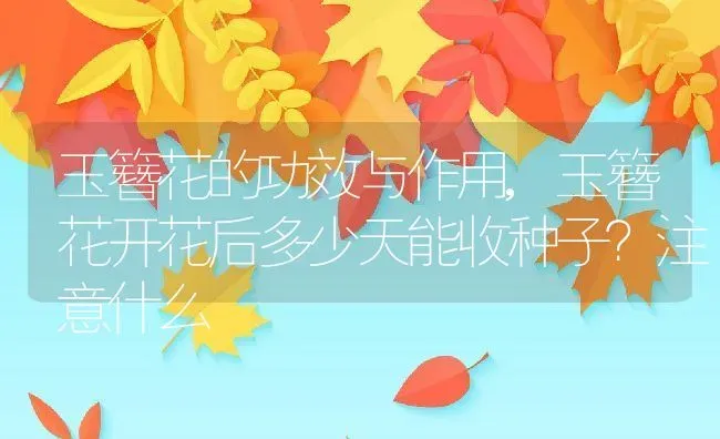 玉簪花的功效与作用,玉簪花开花后多少天能收种子？注意什么 | 养殖常见问题