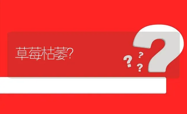 草莓枯萎? | 养殖问题解答