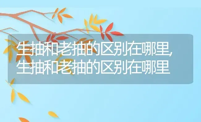 生抽和老抽的区别在哪里,生抽和老抽的区别在哪里 | 养殖常见问题