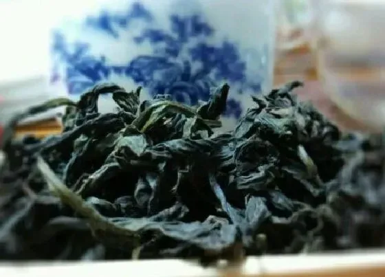 植物常识问题|岩茶属于什么茶系列的茶种 武夷岩茶冲泡的功效与作用