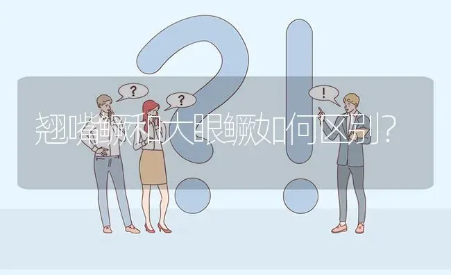 翘嘴鳜和大眼鳜如何区别? | 养殖问题解答