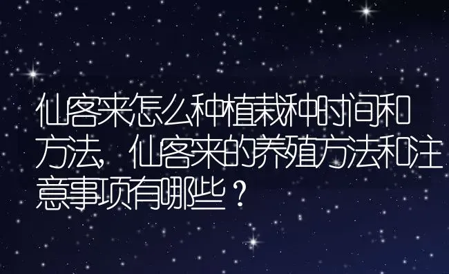 仙客来怎么种植栽种时间和方法,仙客来的养殖方法和注意事项有哪些？ | 养殖常见问题