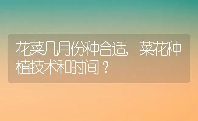 花菜几月份种合适,菜花种植技术和时间？ | 养殖常见问题