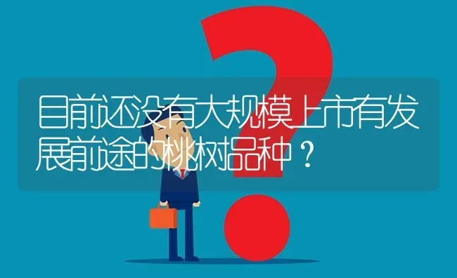 目前还没有大规模上市有发展前途的桃树品种? | 养殖问题解答