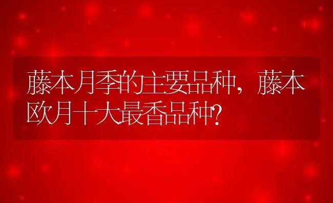 藤本月季的主要品种,藤本欧月十大最香品种？ | 养殖常见问题