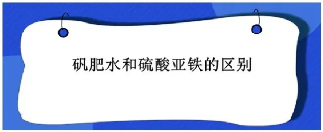 矾肥水和硫酸亚铁的区别 | 三农问答