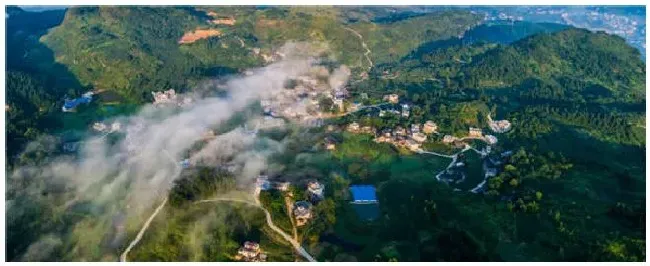 贵州凯里从江农村种植什么好 | 三农答疑