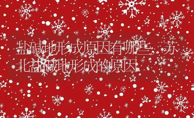 盐碱地形成原因有哪些,苏北盐碱地形成的原因 | 养殖常见问题