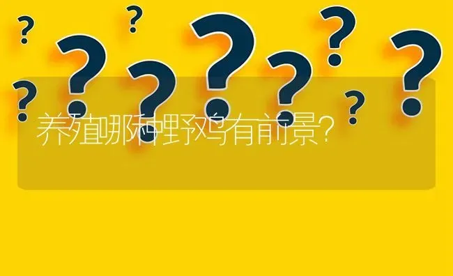 养殖哪种野鸡有前景? | 养殖问题解答