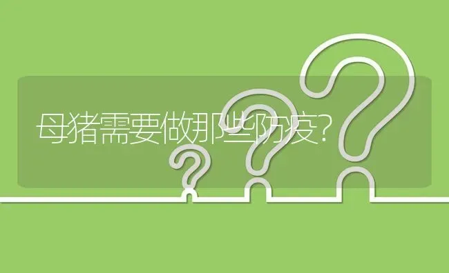 母猪需要做那些防疫? | 养殖问题解答