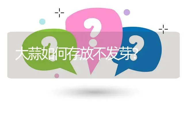 大蒜如何存放不发芽? | 养殖问题解答