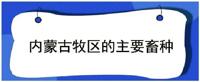 内蒙古牧区的主要畜种 | 农业问题