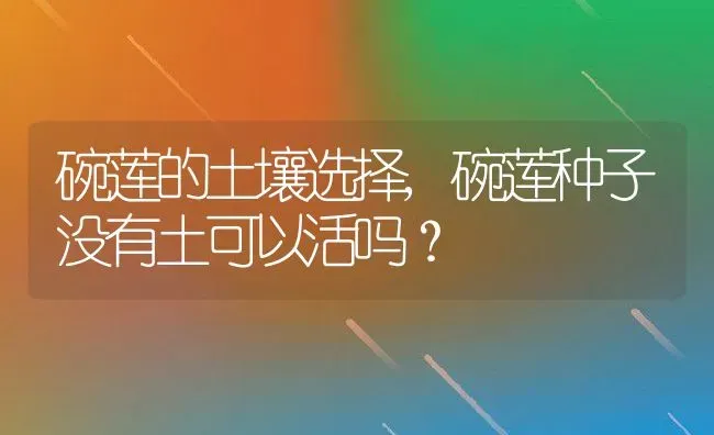 碗莲的土壤选择,碗莲种子没有土可以活吗？ | 养殖常见问题