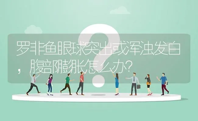 罗非鱼眼球突出或浑浊发白,腹部膨胀怎么办? | 养殖问题解答