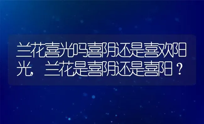 兰花喜光吗喜阴还是喜欢阳光,兰花是喜阴还是喜阳？ | 养殖常见问题