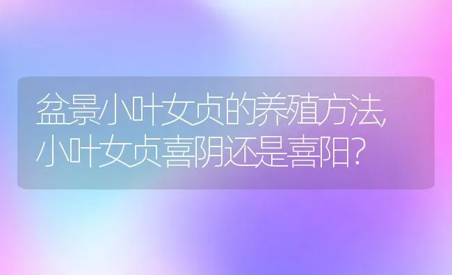 盆景小叶女贞的养殖方法,小叶女贞喜阴还是喜阳？ | 养殖常见问题