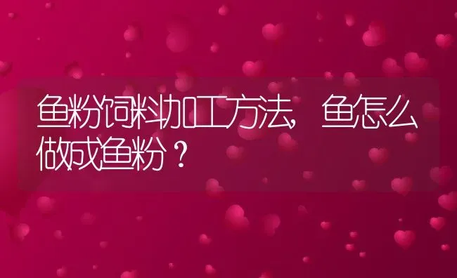鱼粉饲料加工方法,鱼怎么做成鱼粉？ | 养殖常见问题