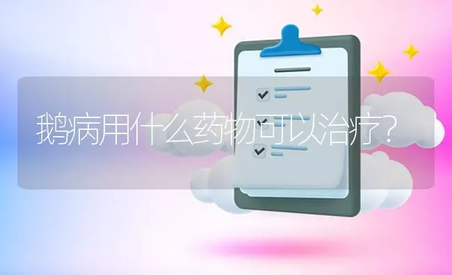 鹅病用什么药物可以治疗? | 养殖问题解答