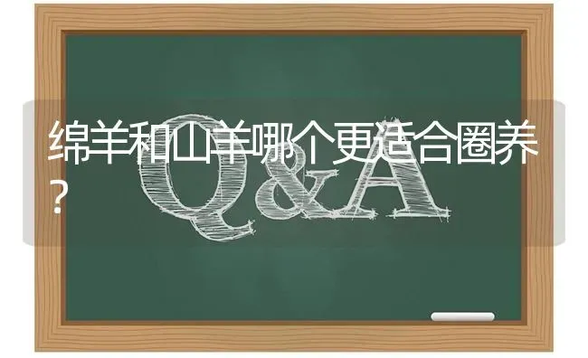 绵羊和山羊哪个更适合圈养? | 养殖问题解答