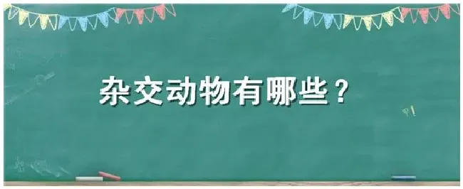 杂交动物有哪些 | 生活常识