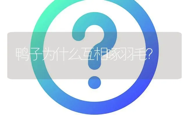 鸭子为什么互相啄羽毛? | 养殖问题解答