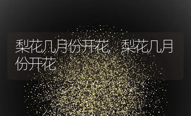 梨花几月份开花,梨花几月份开花 | 养殖常见问题