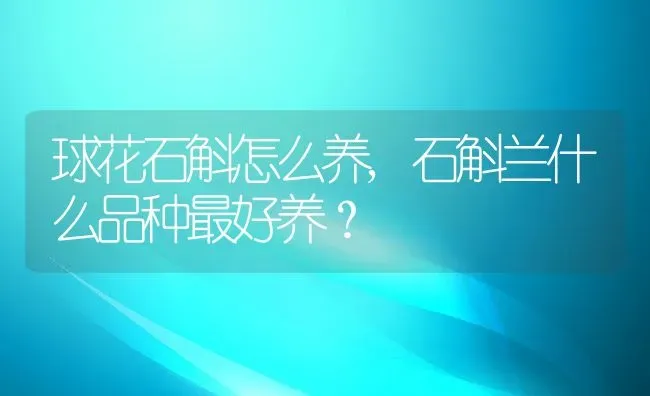 球花石斛怎么养,石斛兰什么品种最好养？ | 养殖常见问题