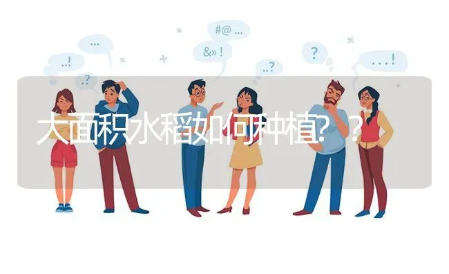 大面积水稻如何种植?? | 养殖问题解答