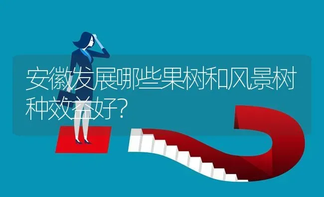 安徽发展哪些果树和风景树种效益好? | 养殖问题解答