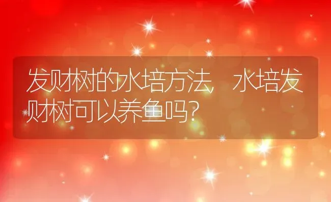 发财树的水培方法,水培发财树可以养鱼吗？ | 养殖常见问题