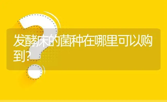 发酵床的菌种在哪里可以购到? | 养殖问题解答