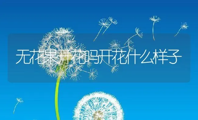 无花果开花吗开花什么样子 | 养殖常见问题