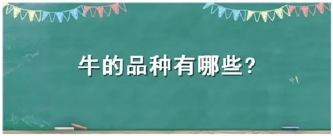 牛的品种有哪些? | 科普知识