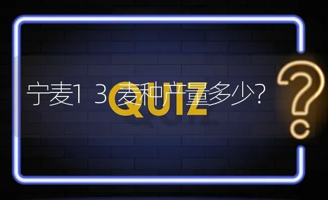 宁麦13麦种产量多少? | 养殖问题解答