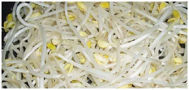 黄豆芽几分钟能熟 | 农业问题