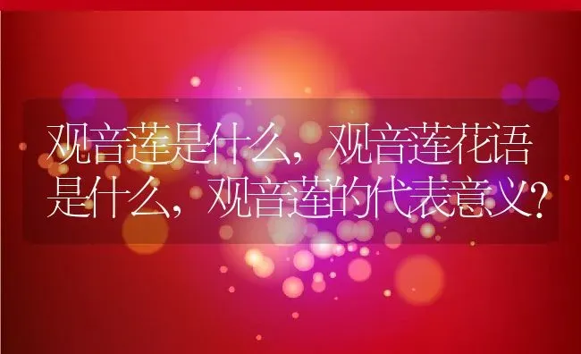 观音莲是什么,观音莲花语是什么，观音莲的代表意义？ | 养殖常见问题