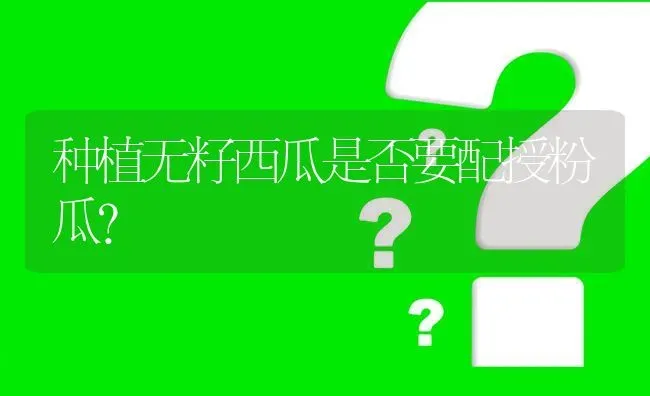 种植无籽西瓜是否要配授粉瓜? | 养殖问题解答