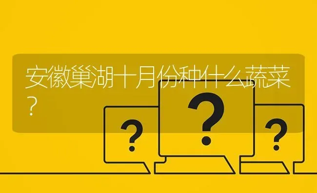 安徽巢湖十月份种什么蔬菜? | 养殖问题解答