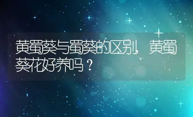 黄蜀葵与蜀葵的区别,黄蜀葵花好养吗？ | 养殖常见问题