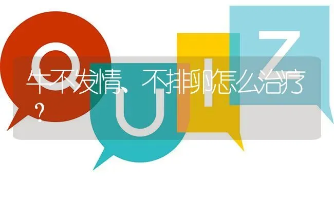 牛不发情、不排卵怎么治疗? | 养殖问题解答