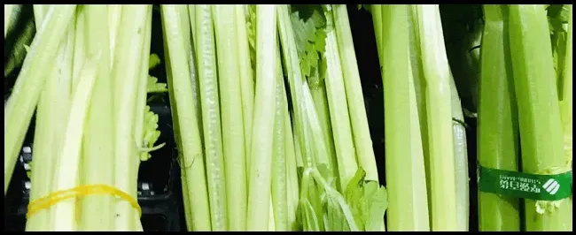 芹菜最快发芽的办法 | 三农答疑