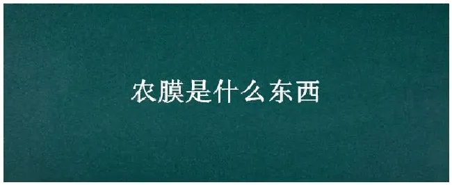 农膜是什么东西 | 三农问答