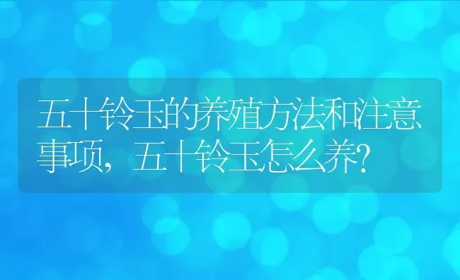 五十铃玉的养殖方法和注意事项,五十铃玉怎么养？ | 养殖常见问题