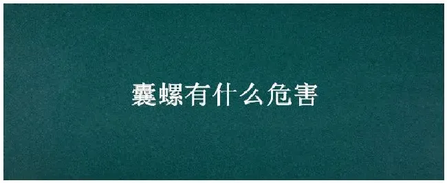 囊螺有什么危害 | 生活常识