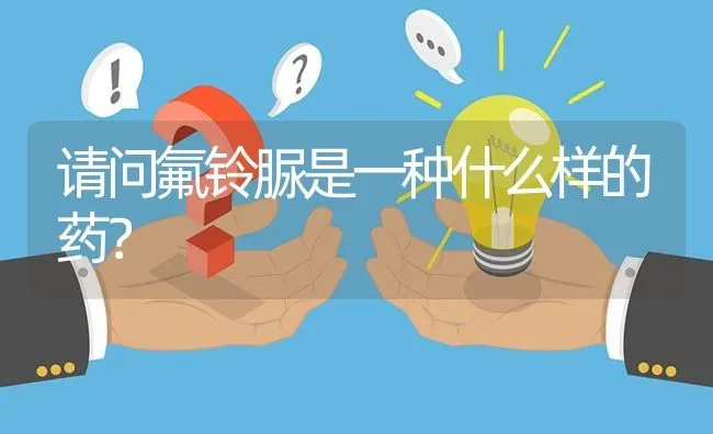 桑蚕有那种品种好? | 养殖问题解答