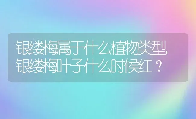 银缕梅属于什么植物类型,银缕梅叶子什么时候红？ | 养殖常见问题